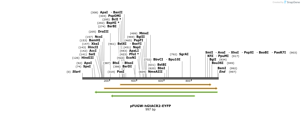 120493_map
