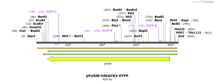 120495_map