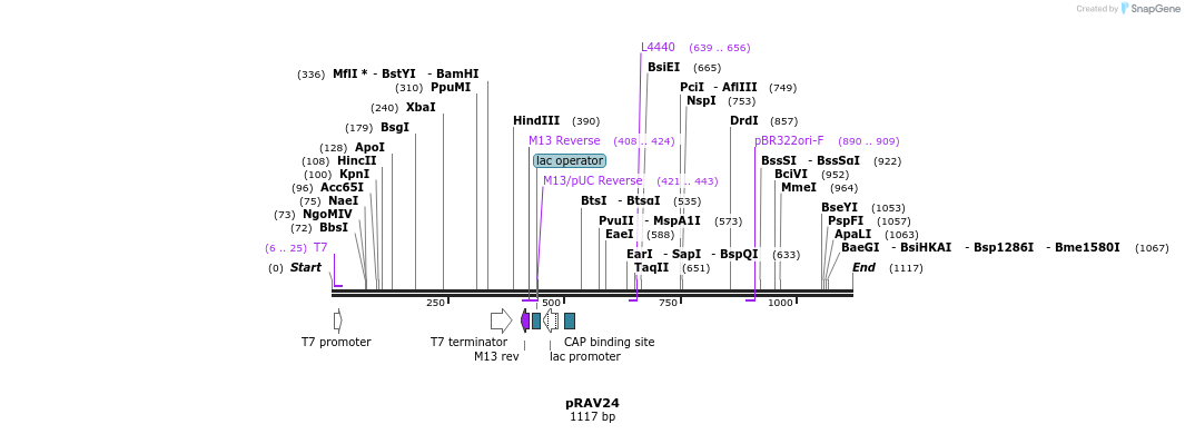120511_map