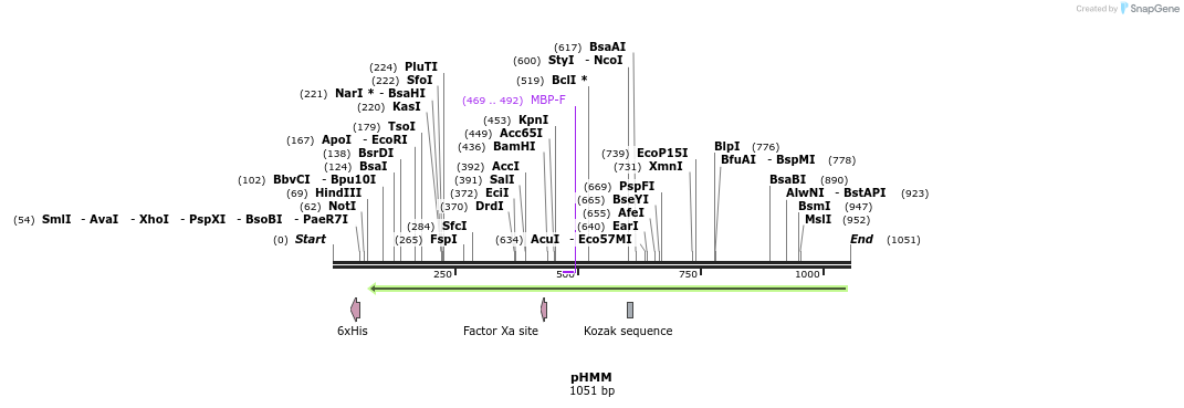 120513_map