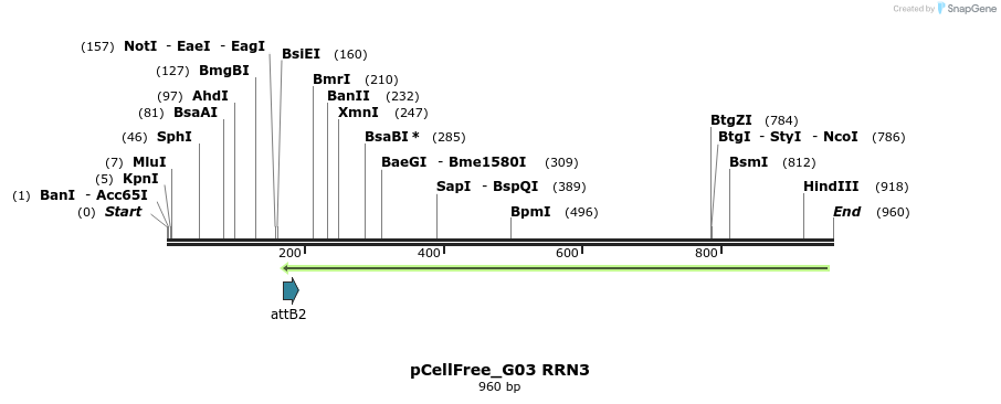 120537_map
