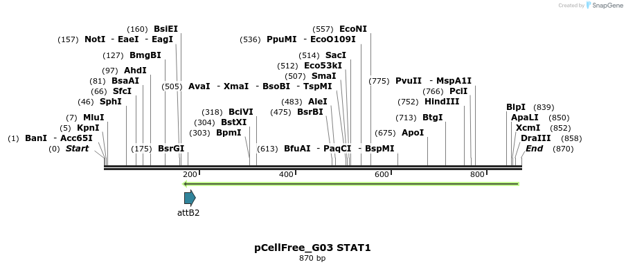 120539_map