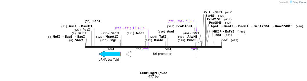 120551_map