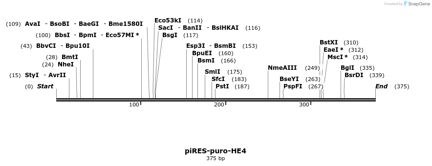 12056_map