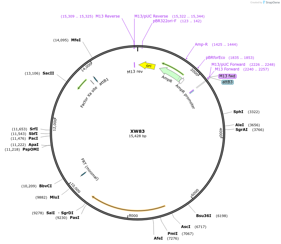 120571_map