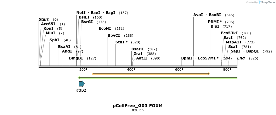 120577_map