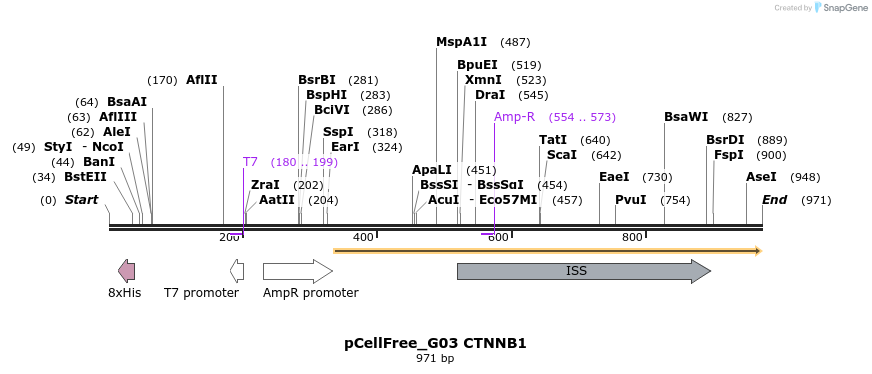120580_map