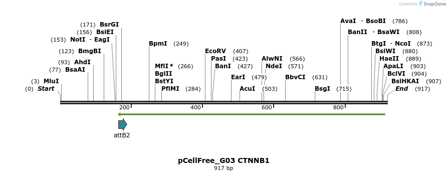 120581_map