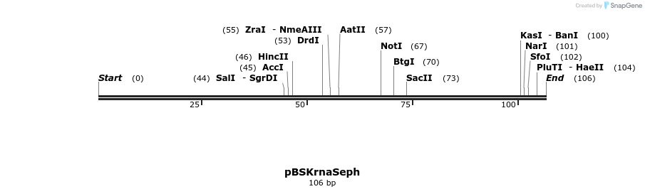 120587_map