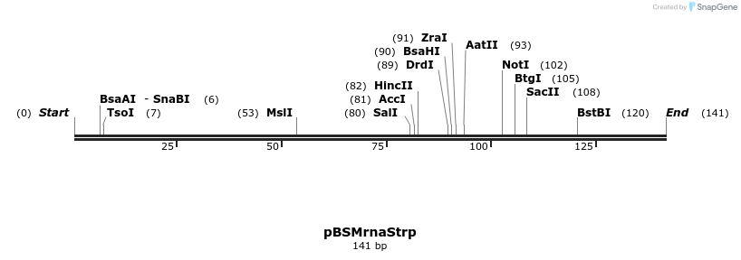 120589_map