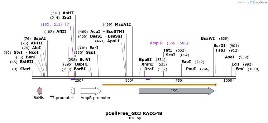120593_map