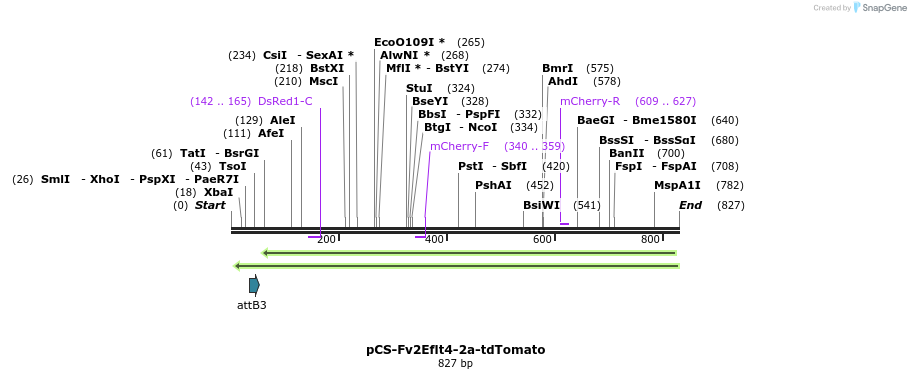 120603_map