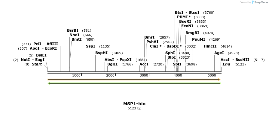 120605_map