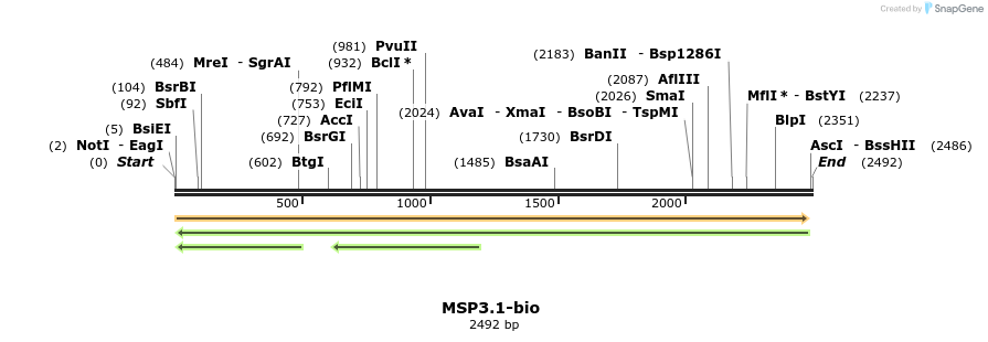 120607_map