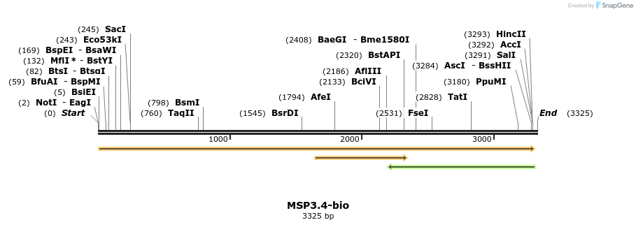 120611_map