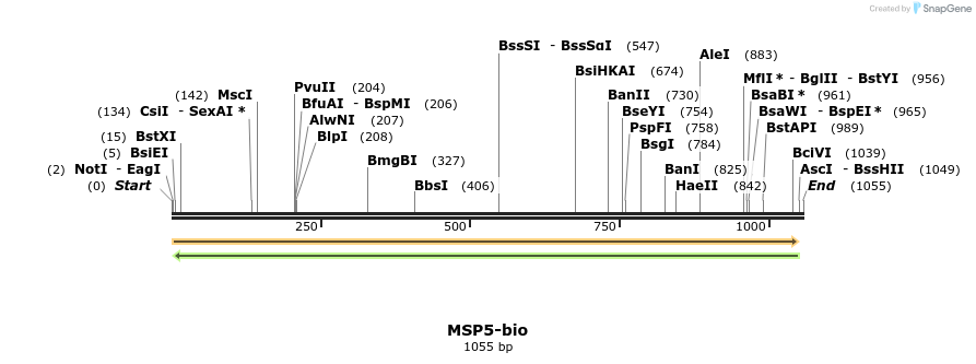 120617_map