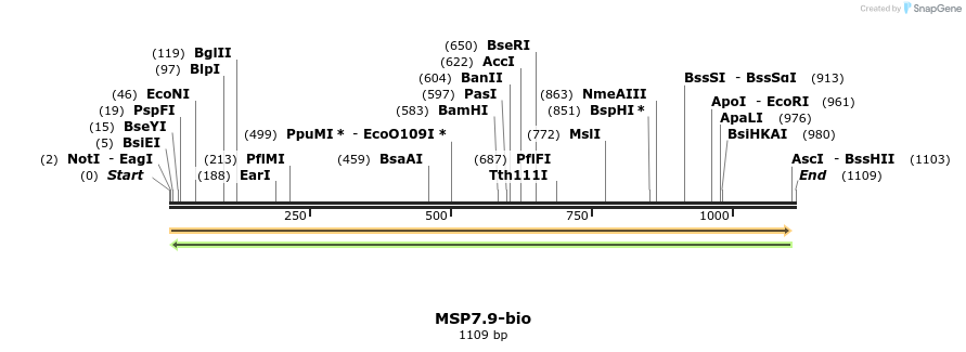 120623_map