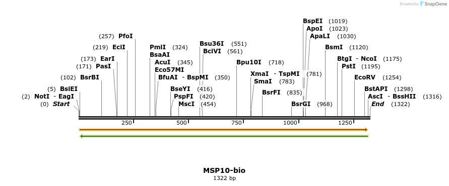 120625_map