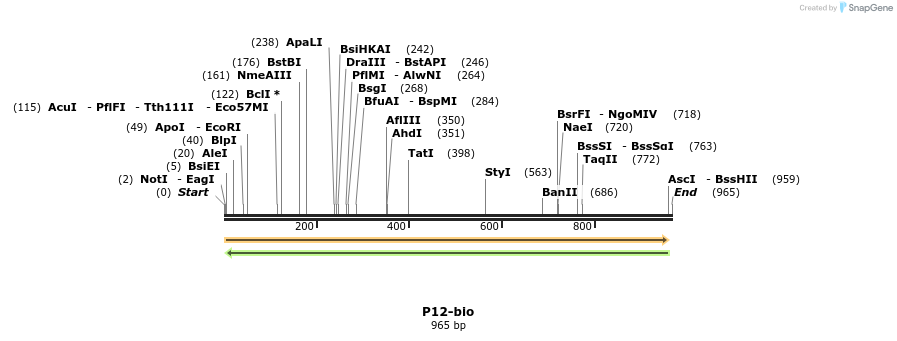 120627_map