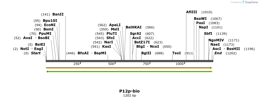 120629_map