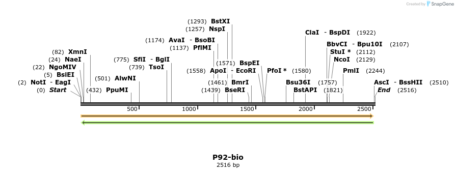 120635_map