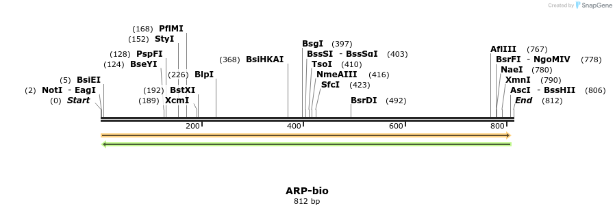 120643_map