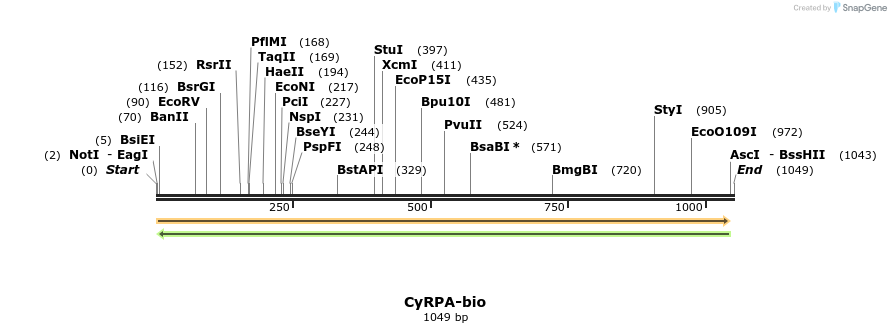 120645_map
