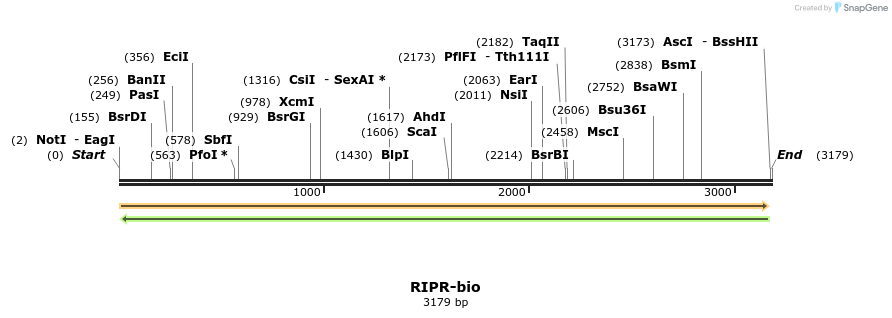 120647_map