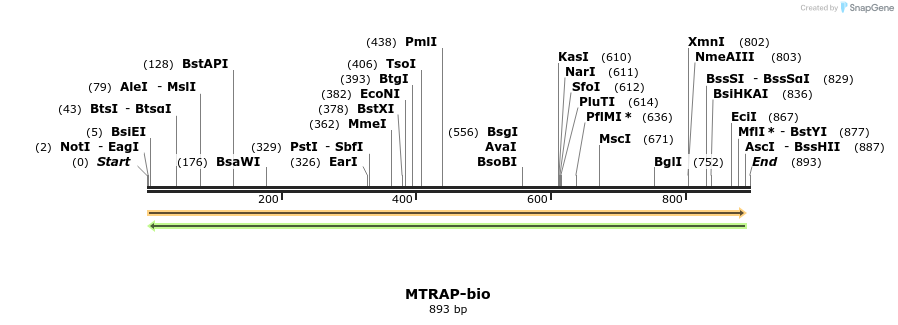 120651_map