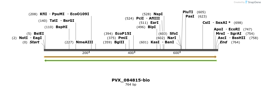 120657_map