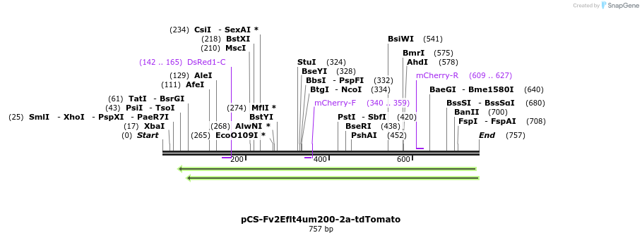 120674_map