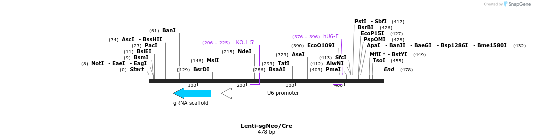 120675_map