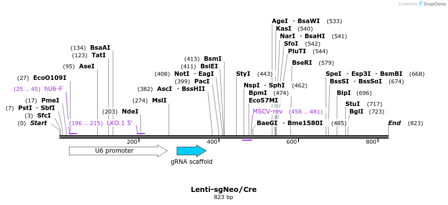 120676_map