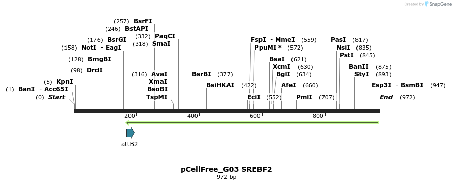 120678_map