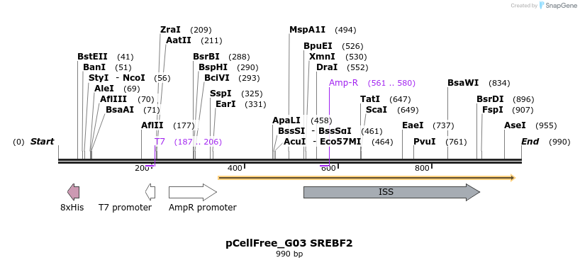 120679_map