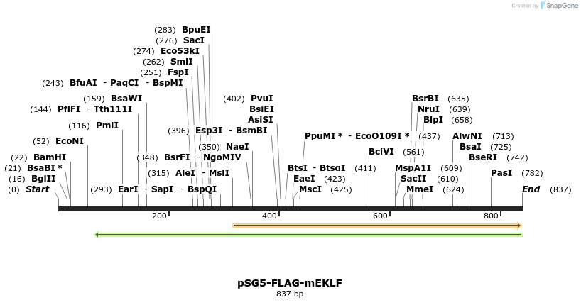 120681_map