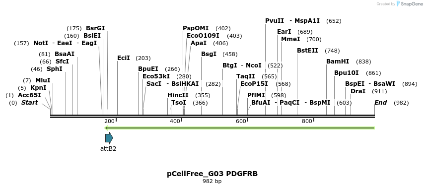 120682_map