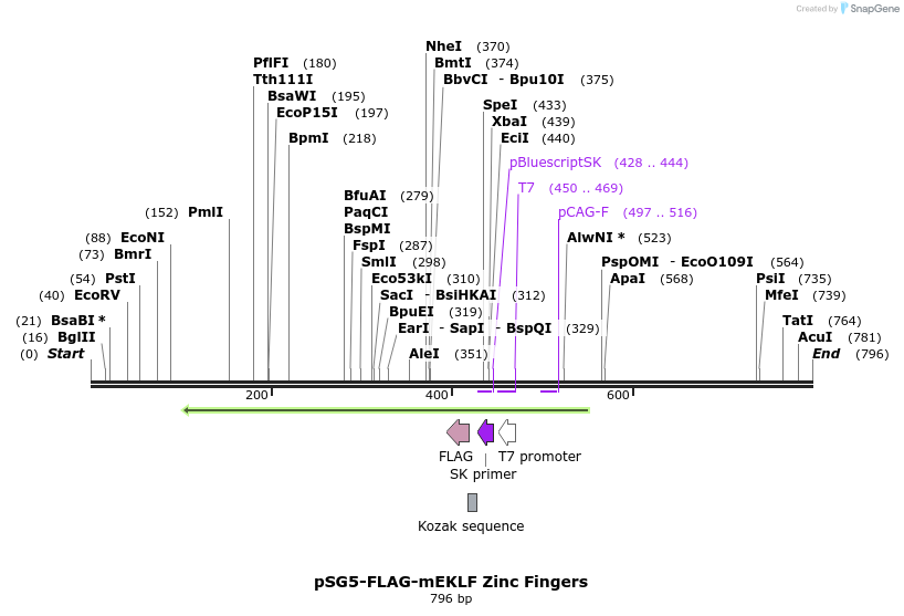 120693_map