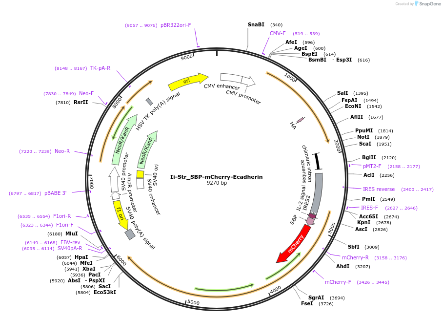 120705_map