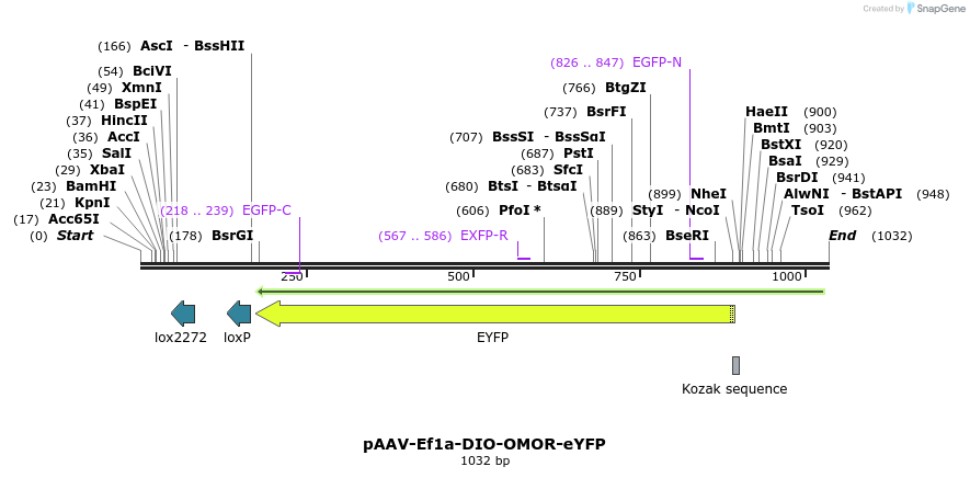 120733_map