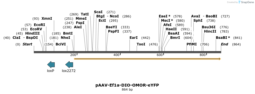 120734_map