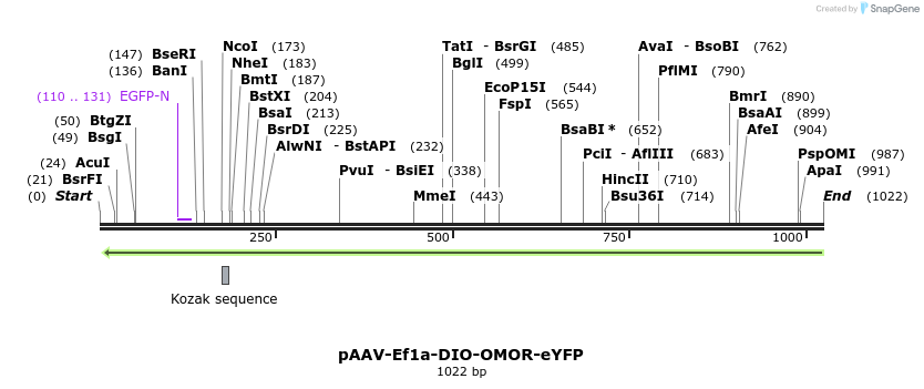 120735_map