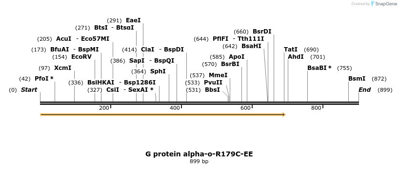 120740_map