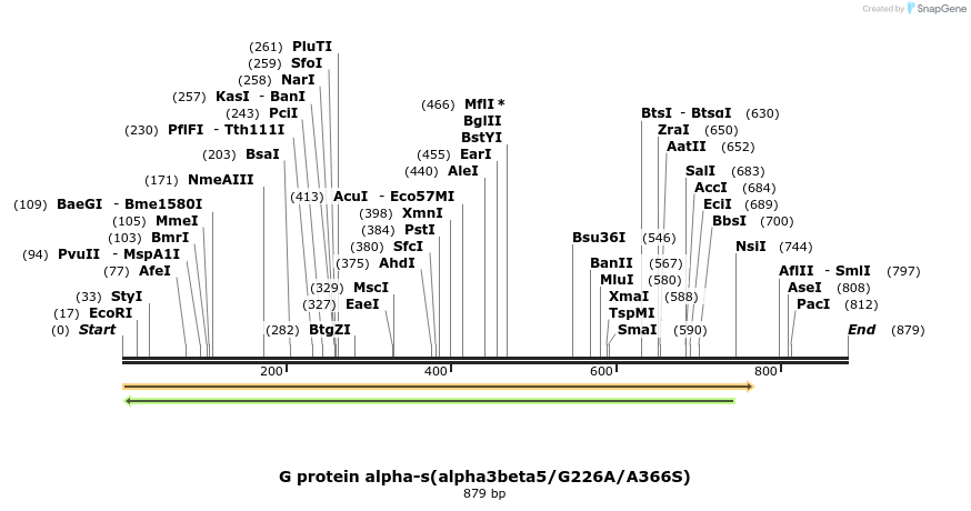120741_map