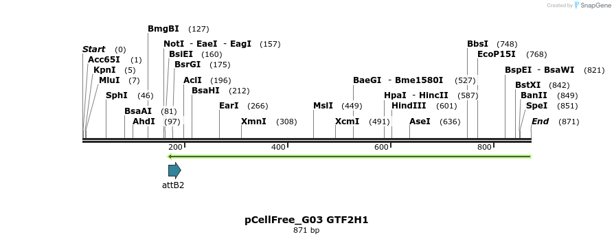 120751_map