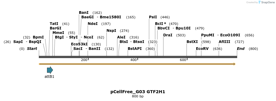 120753_map