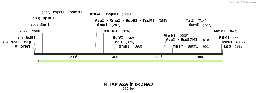 120757_map