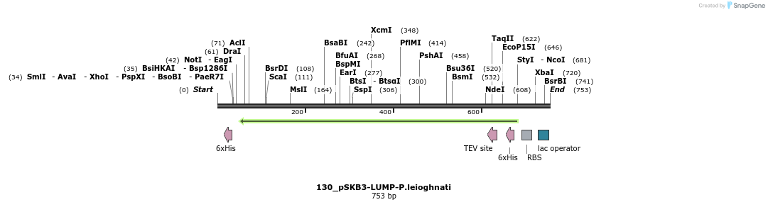 120762_map