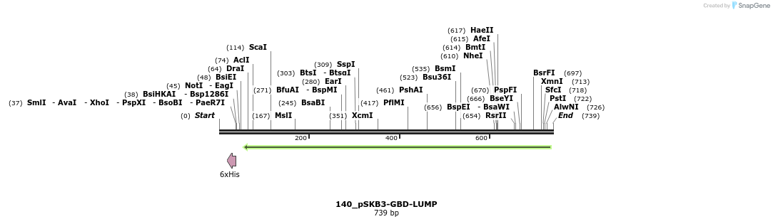 120763_map