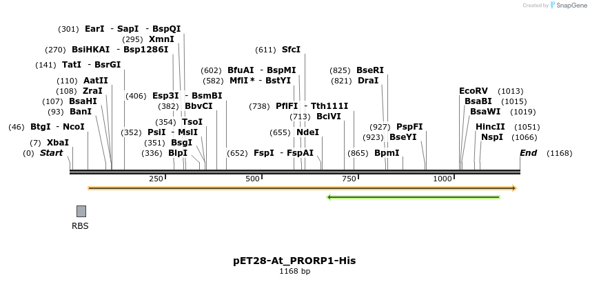 120765_map